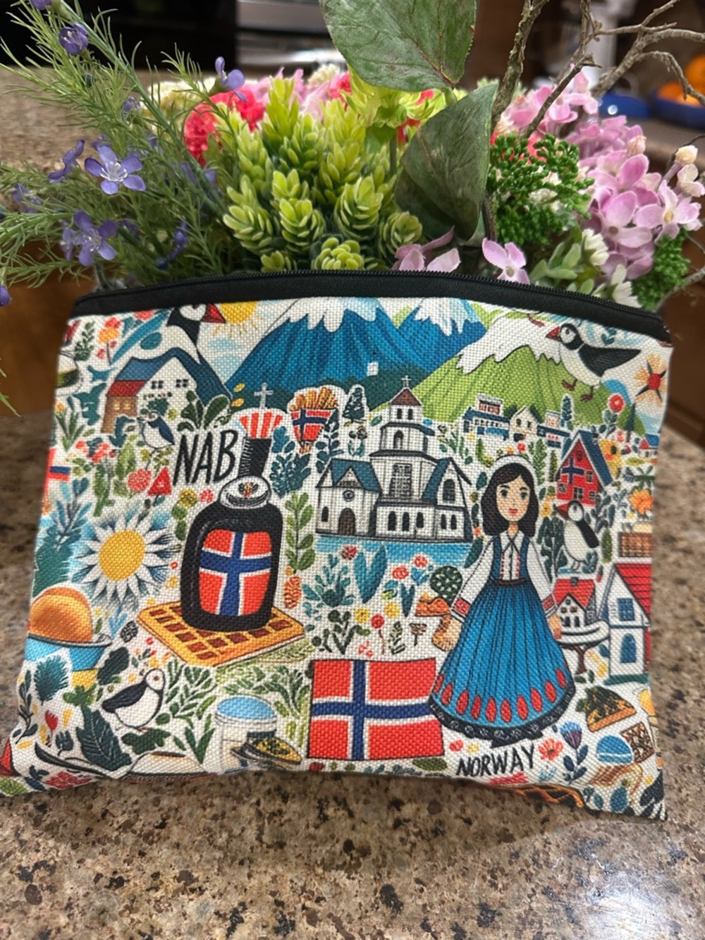 Norway Printed  Cosmetic Pouch - Blue Multi
